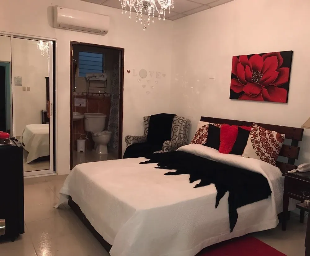Hotel Rey Concepcion de La Vega